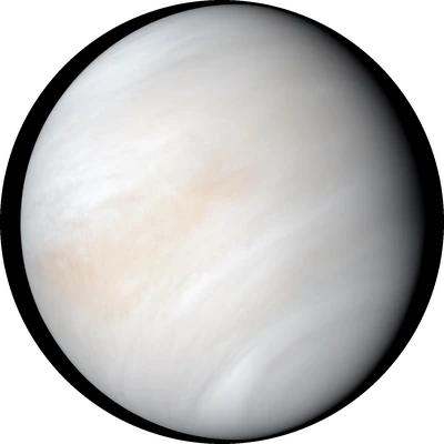 The venus